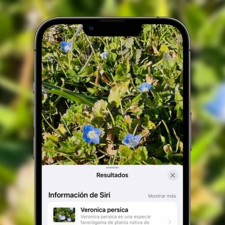 Siri se convierte en tu gua de identificacin: Descubre cmo reconocer plantas, animales y lugares usando fotos