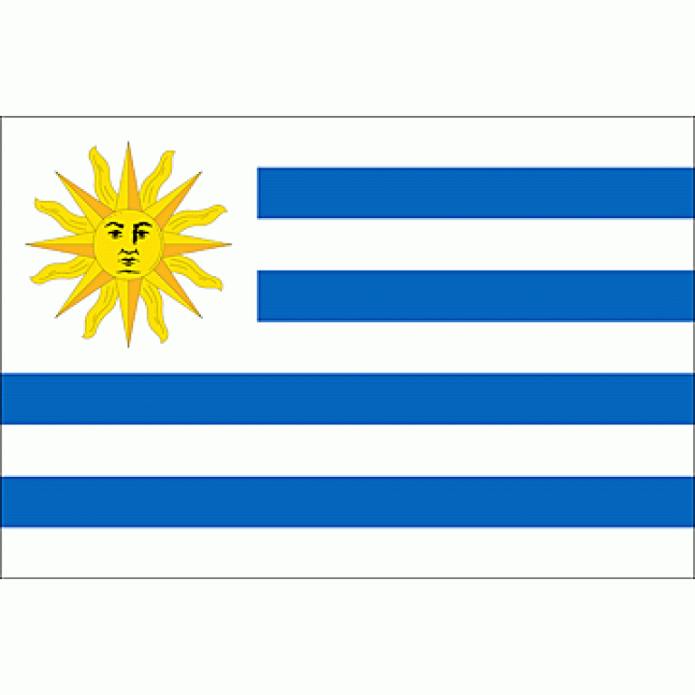 Estado uruguayo lanza buscador