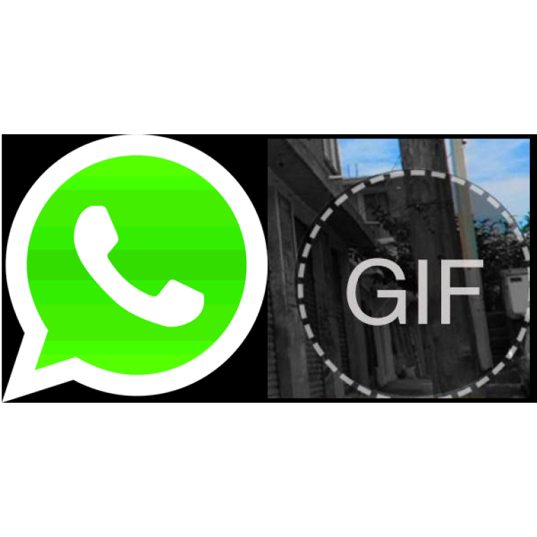 WhatsApp por fin soportar animaciones GIF