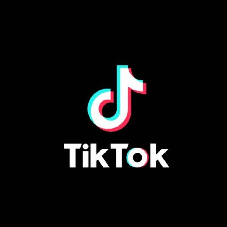 Usuarios de TikTok ya pueden usar GIFs con audio