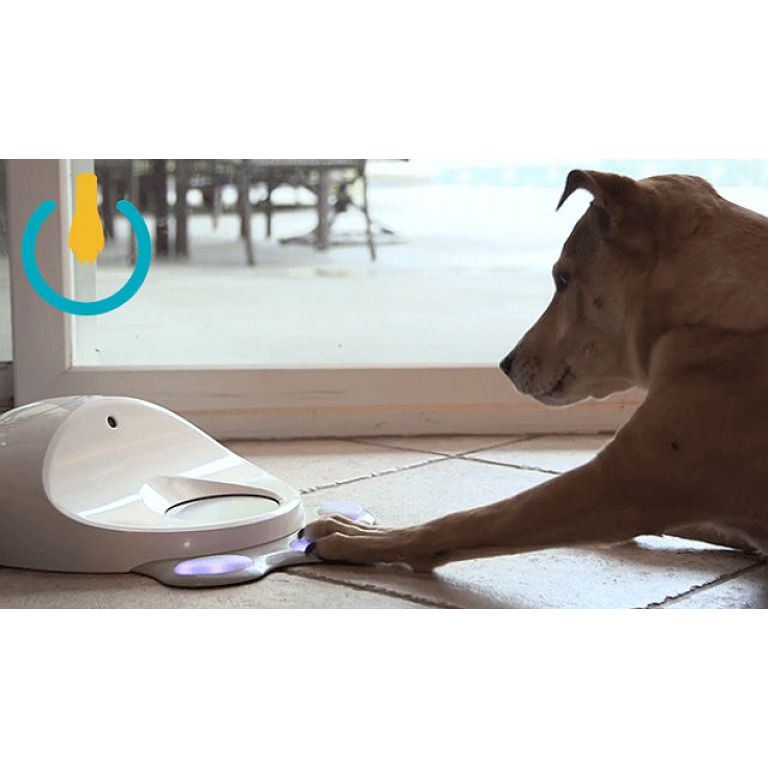 Una consola WiFi que entretiene a los perros 